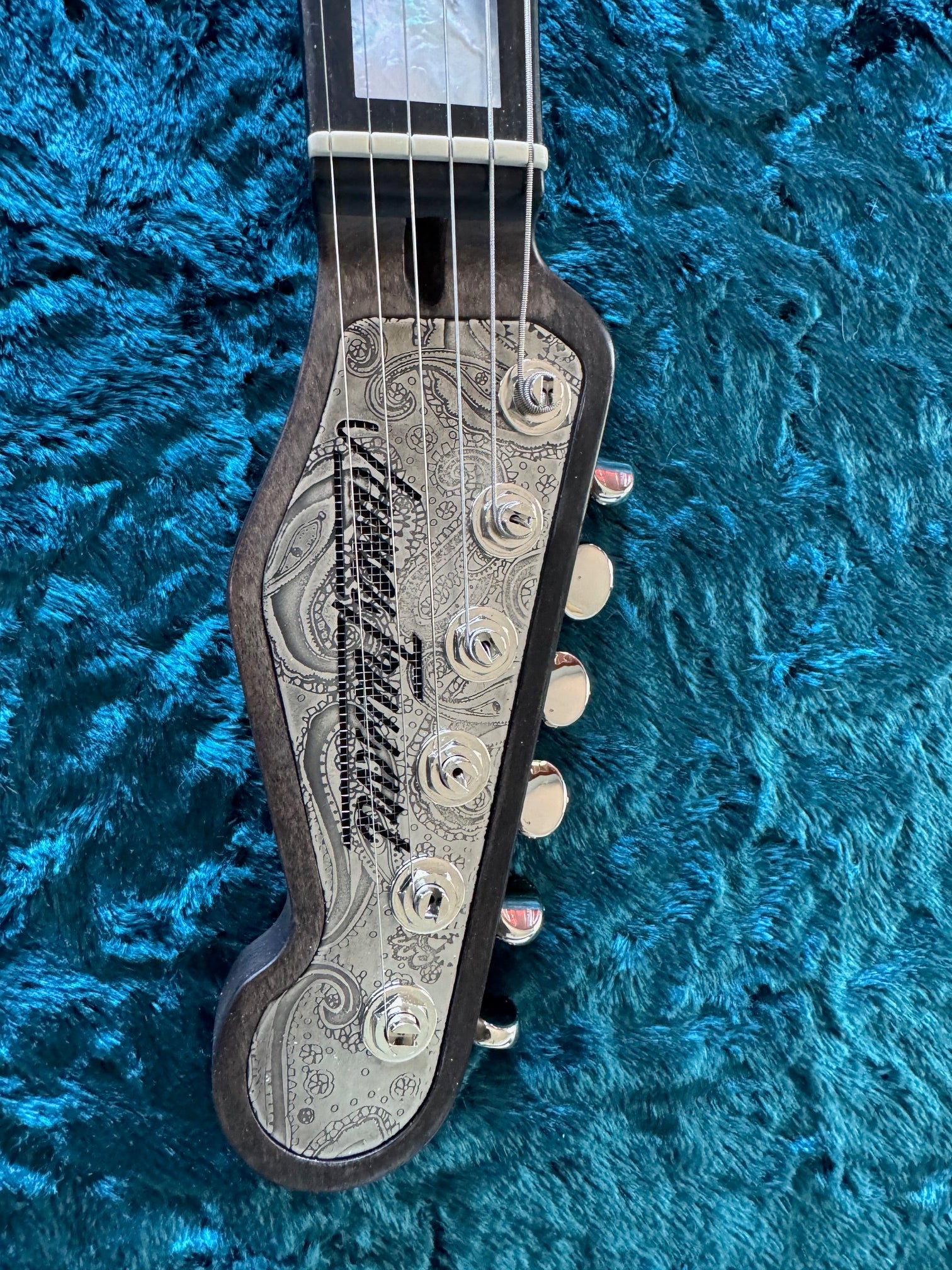 25050 Black on Paisley Steelmaster